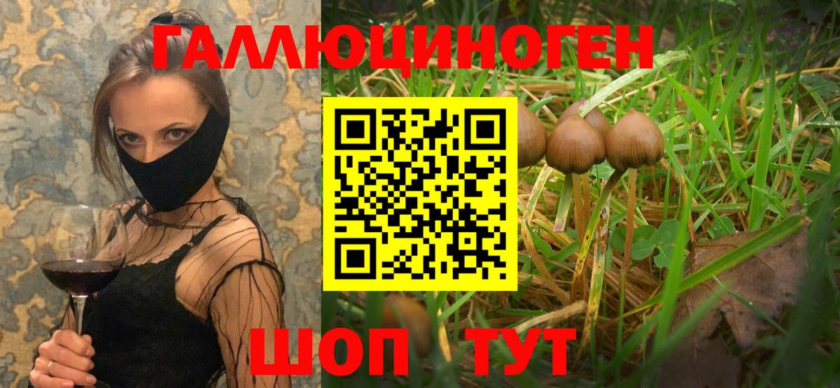 Острогожск  Галлюциногенные грибы прущие грибы  Вход с VPN 